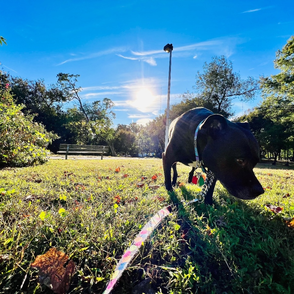 Meet your Posher, Jasa